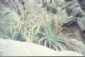 0149 Pacifik - přístav Constitución.jpg